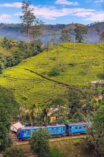 Richard Homestay Ella Exterior foto