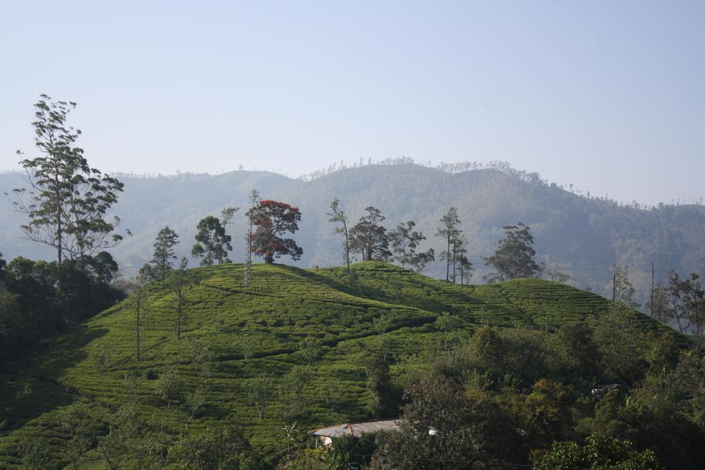 Richard Homestay Ella Exterior foto